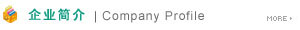 企业简介